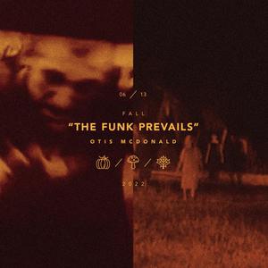 曹逼视频在线观看
