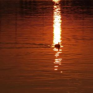 曹逼视频在线观看

